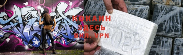 сатива Вяземский