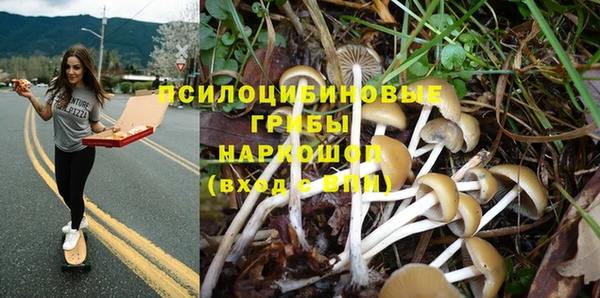 сатива Вяземский
